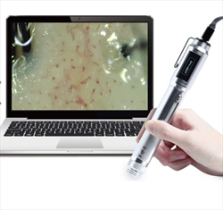 Kính hiển vi 3R-MSBTVTY-H